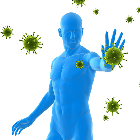 Immune