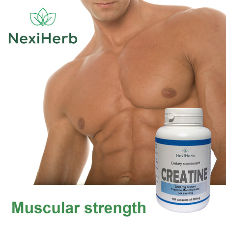 Creatine Monohydrate 500 mg 100 caps