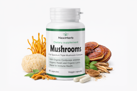 The Ultimate Guide to Functional Mushrooms